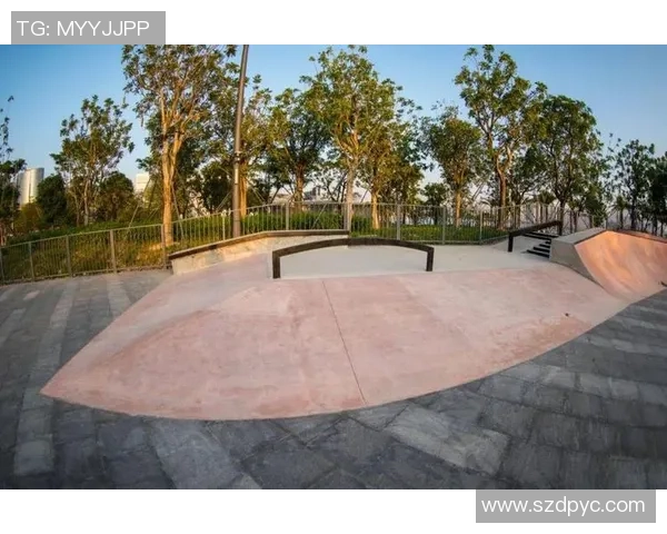 深圳滑板队战术解析：探索城市滑板文化与竞技精神的融合之路