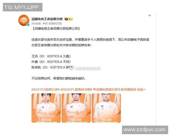 王者荣耀巨献:深入分析TES战队当前状态与未来展望