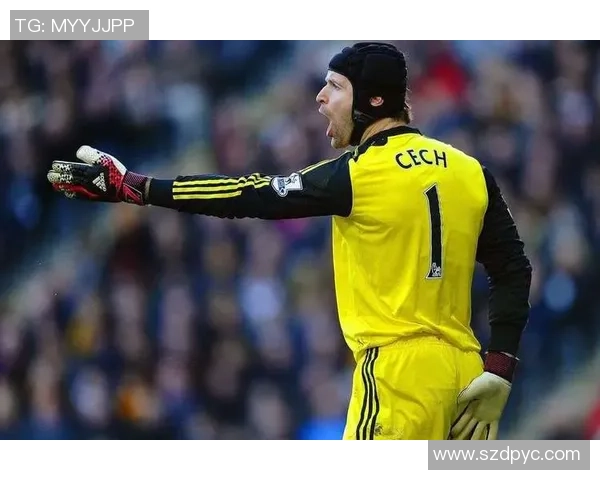 西安网球队在世锦赛上的拼搏历程与荣耀时刻全景回顾