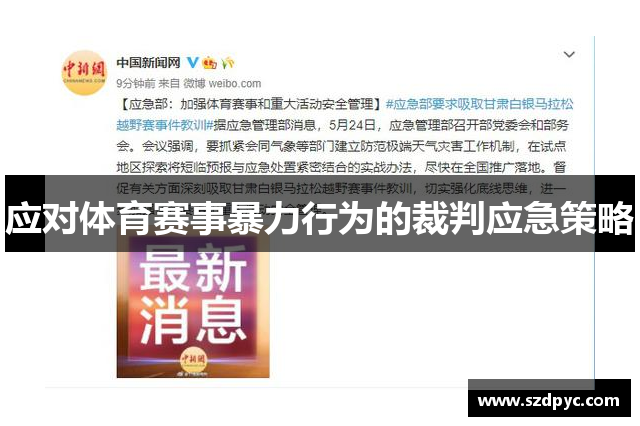 应对体育赛事暴力行为的裁判应急策略