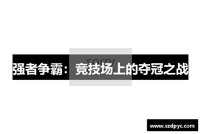 强者争霸：竞技场上的夺冠之战